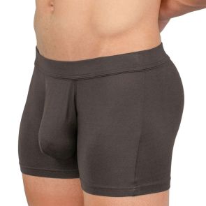 Obviously EliteMan Boxer Brief 3 inch Leg F00 Titanium