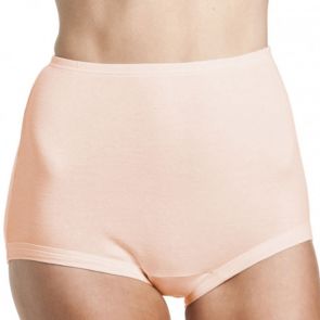 Bonds Cottontail Satin Touch Full Brief W012 Skintone