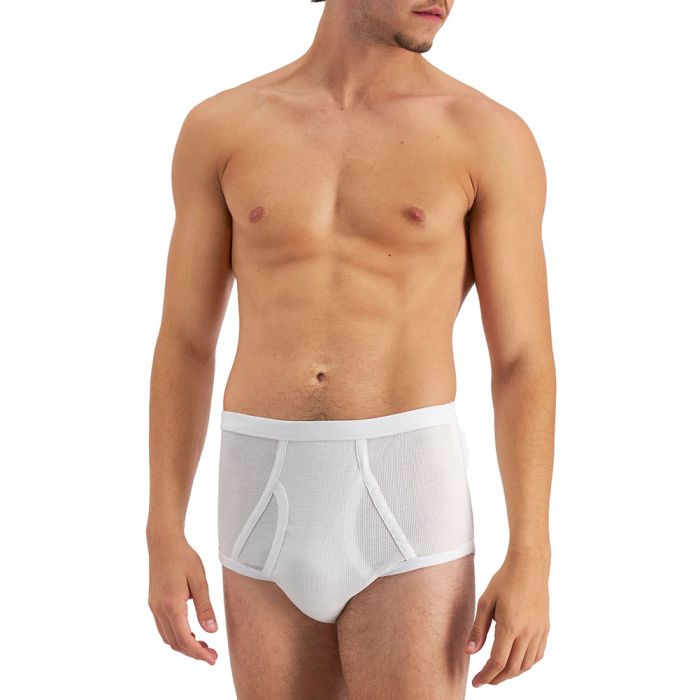 Holeproof All Seasons Brief M1962 mens underwear