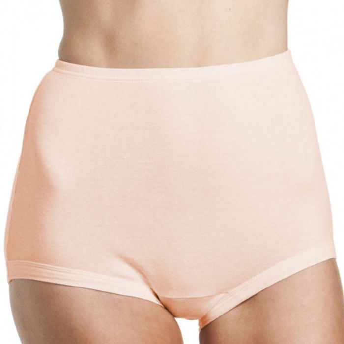 Bonds Cottontail Satin Touch Full Brief W012 Skintone Womens Underwear