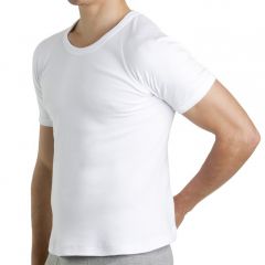 Bonds Raglan Tee 2PK M9372W White