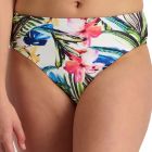 Moontide Rainforest Beauty Mid Rise Swim Pant M7803RB Multi Swimwear