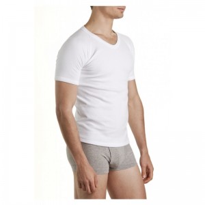 Bonds-V-Neck-Raglan-Tee-4-Pack-undiewarehouse